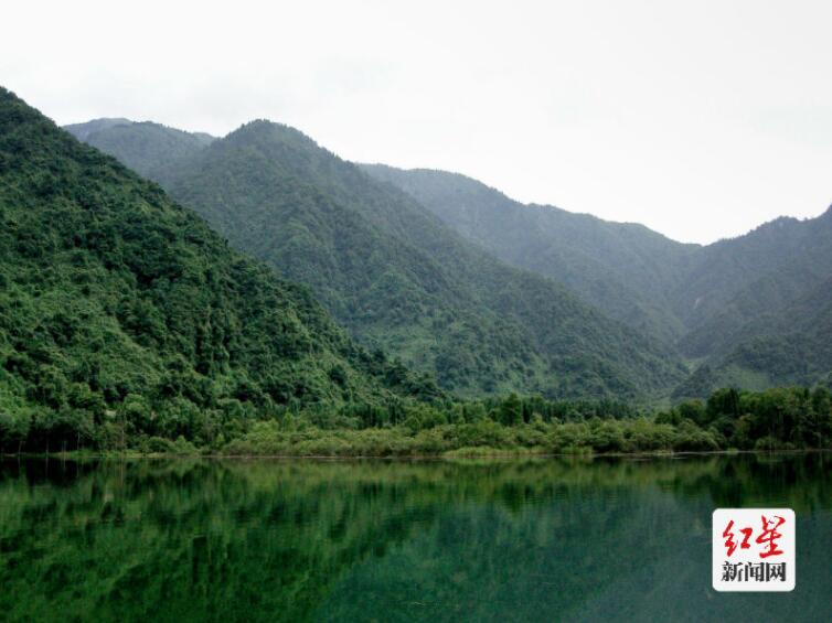 山魂——大熊猫国家公园里的守山人