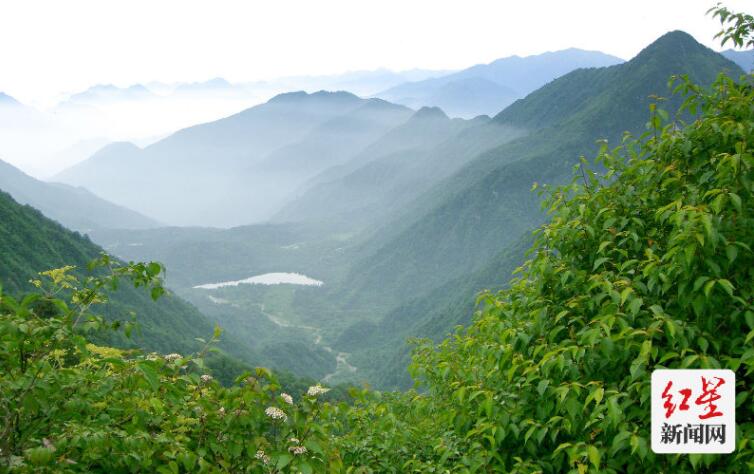 山魂——大熊猫国家公园里的守山人