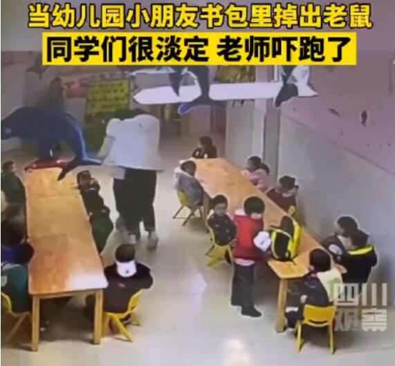 幼儿园小朋友书包掉出老鼠吓坏老师 小朋友们一脸淡定
