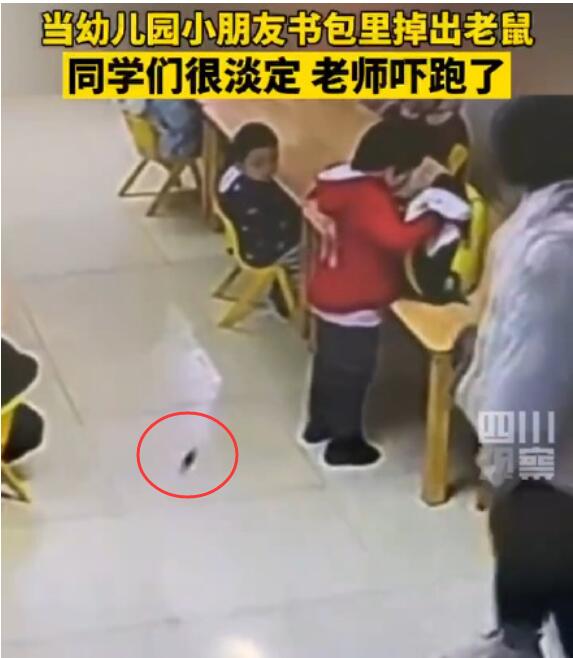 幼儿园小朋友书包掉出老鼠吓坏老师 小朋友们一脸淡定