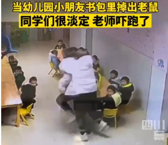 幼儿园小朋友书包掉出老鼠吓坏老师 小朋友们一脸淡定