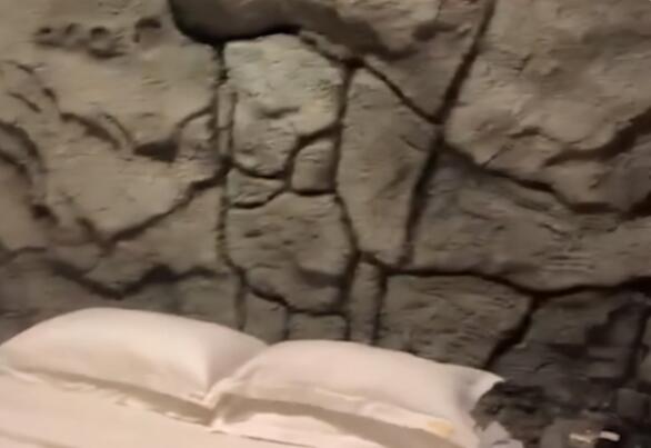 BGM响起来了！男子隔离被安排到花果山主题酒店 网友：就差个裘皮裙了！ 