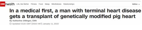 全球首例!美国一患者接受猪心移植，术后3天情况良好