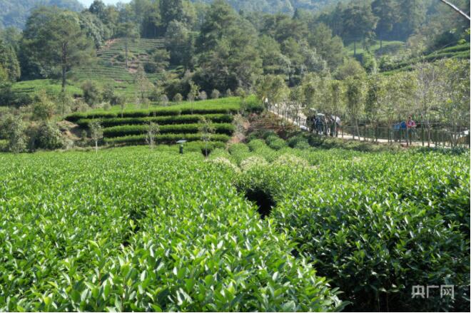 【开局十四五】福建:追梦数字中国星辰大海 向海图强这边风景独好