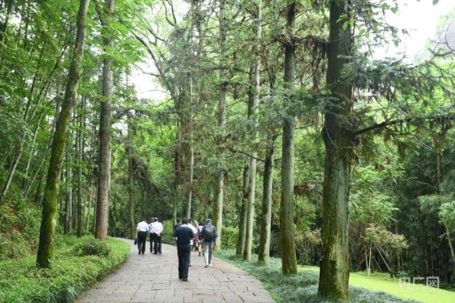 【开局十四五】福建:追梦数字中国星辰大海 向海图强这边风景独好