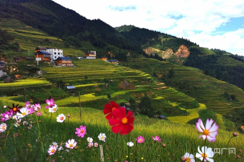 【开局十四五】贵州：大数据赋能大生态“智慧芯” 中国天眼守望“黔”景无限