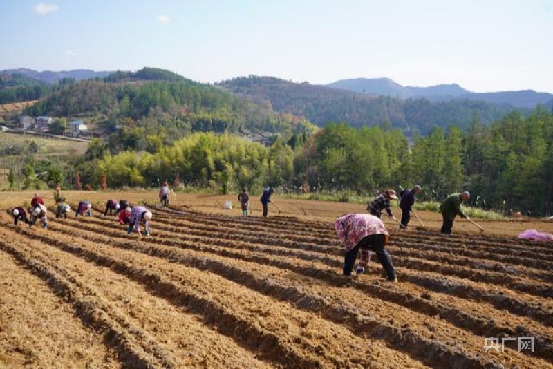 【开局十四五】贵州：大数据赋能大生态“智慧芯” 中国天眼守望“黔”景无限
