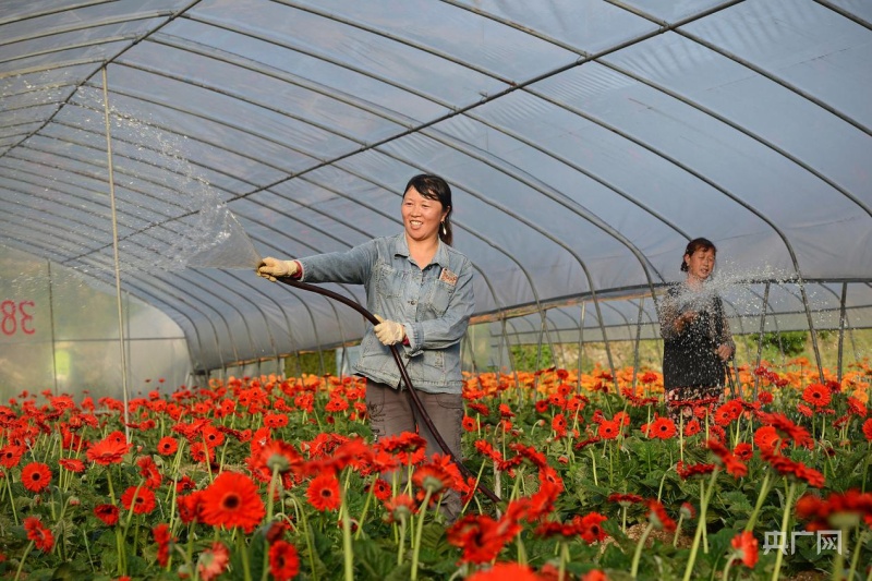 【开局十四五】贵州：大数据赋能大生态“智慧芯” 中国天眼守望“黔”景无限