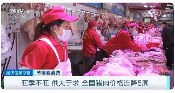 供大于求!猪肉价格连降5周 旺季不旺咋回事 
