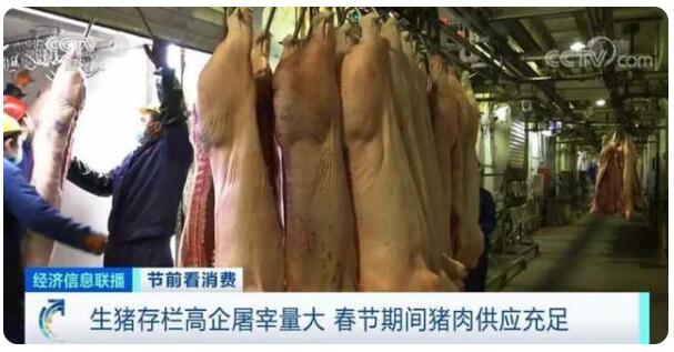 供大于求!猪肉价格连降5周 旺季不旺咋回事 