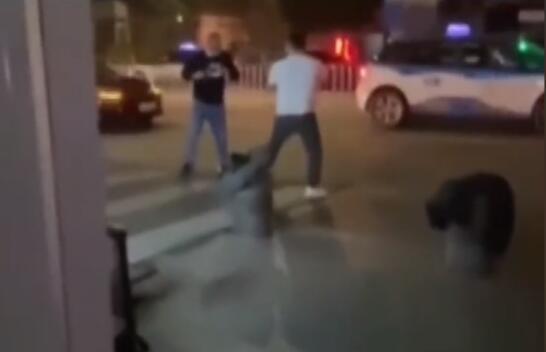 匪夷所思！两男子街头互殴 打累了握手言和 具体啥情况？