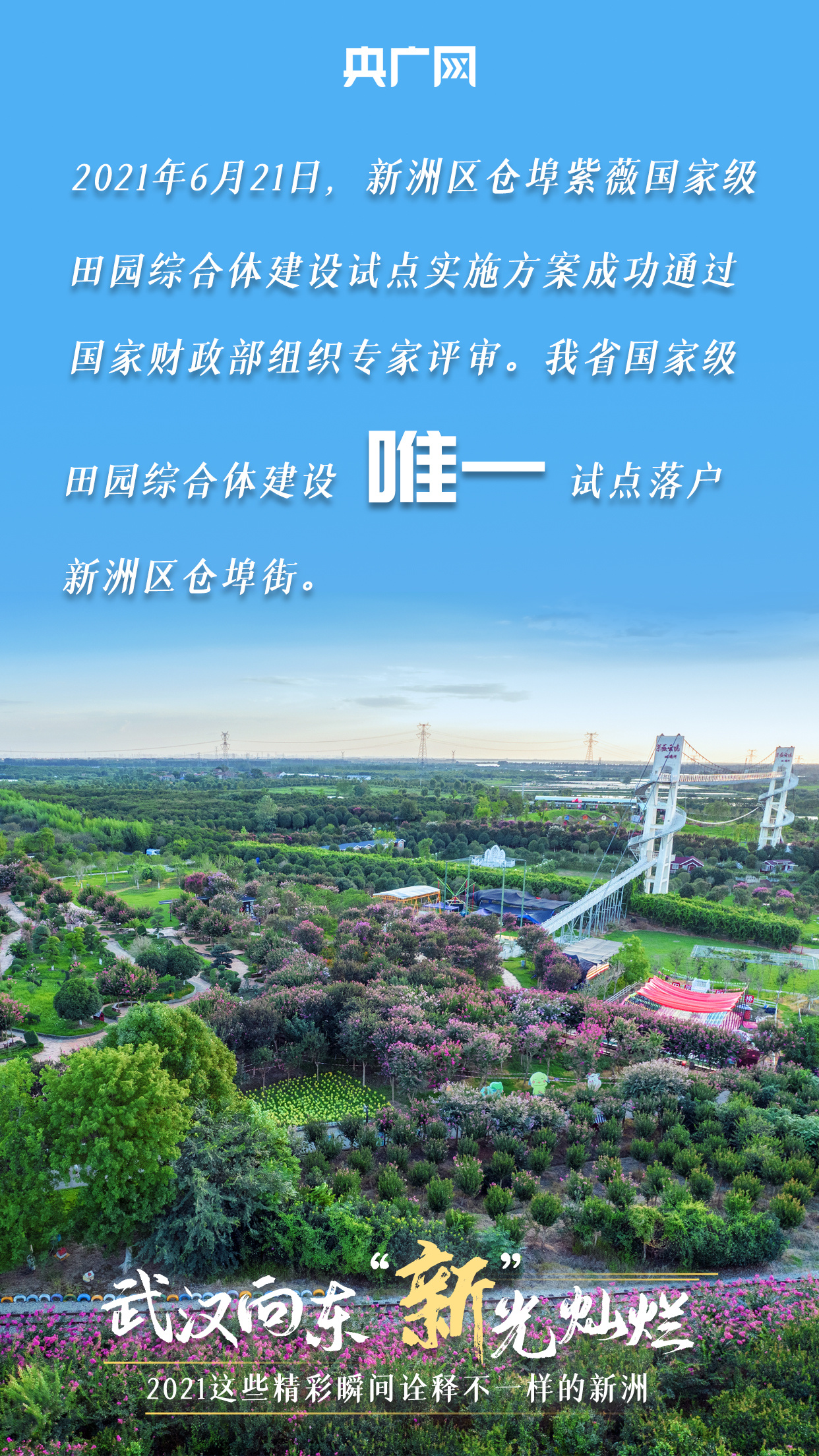 武汉向东 “新”光灿烂 2021这些精彩瞬间诠释不一样的新洲