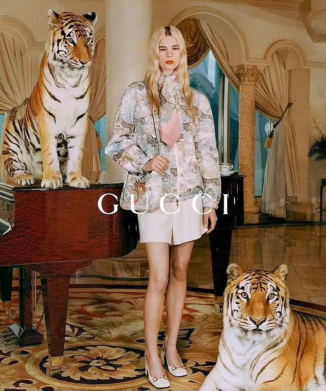 同情！GUCCI用真老虎拍广告引争议 为什么不用假老虎？