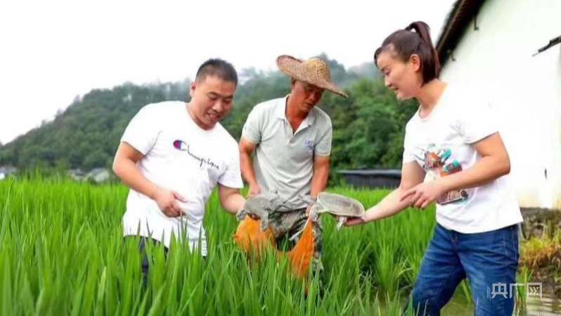 【开局十四五】浙江：打造红船起航地“共富样板” 勇毅笃行不负绿水青山