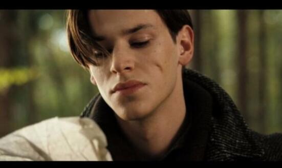 《少年汉尼拔》主演去世年仅37岁 滑雪与人相撞，头部重伤去世