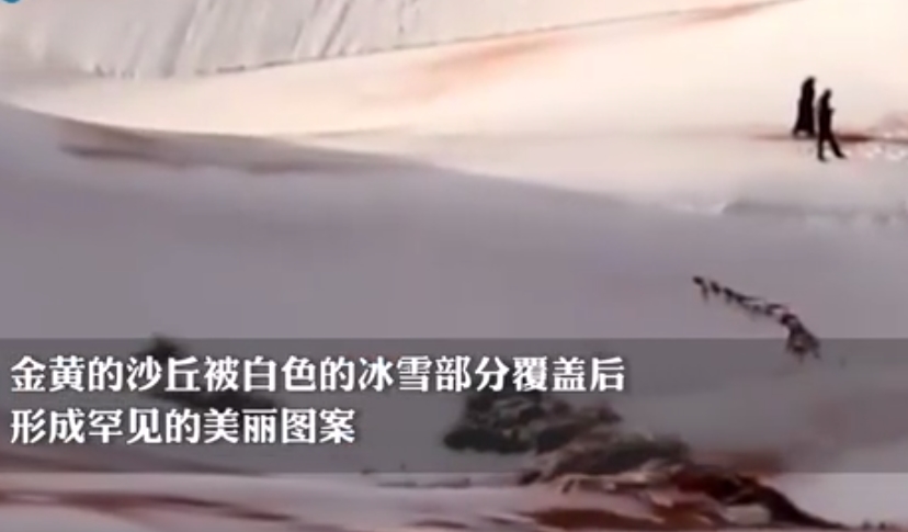 撒哈拉沙漠下雪 骆驼卧沙丘上看雪 夏季气温最高可达58℃