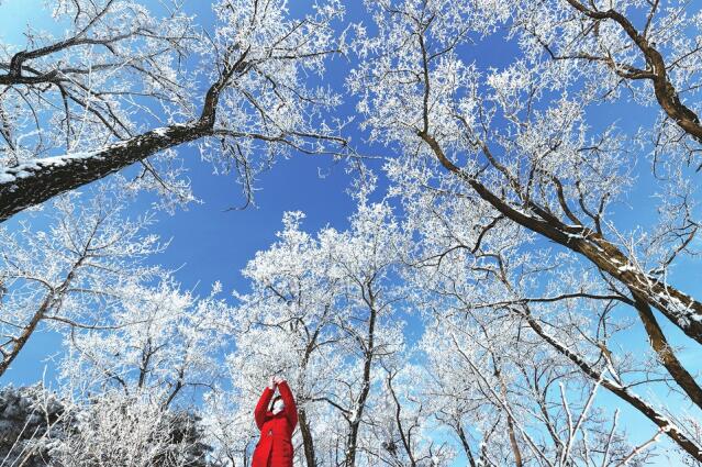 Rime Scenery Appeared in Ji’nan Paomaling.