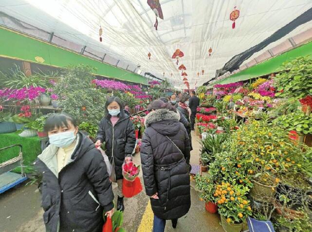 Ji’nan People Are Enthusiastic on Buying Flowers as Spring Festival Approaches.