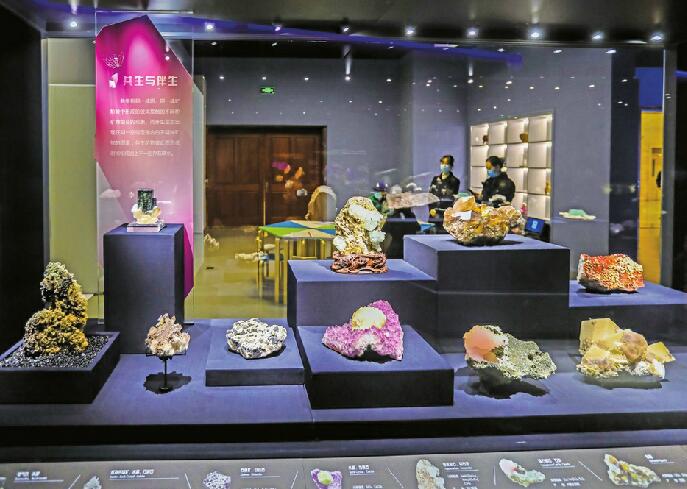 山东博物馆两大展览精彩开启 快来穿越白垩纪，探寻“晶·彩”矿物