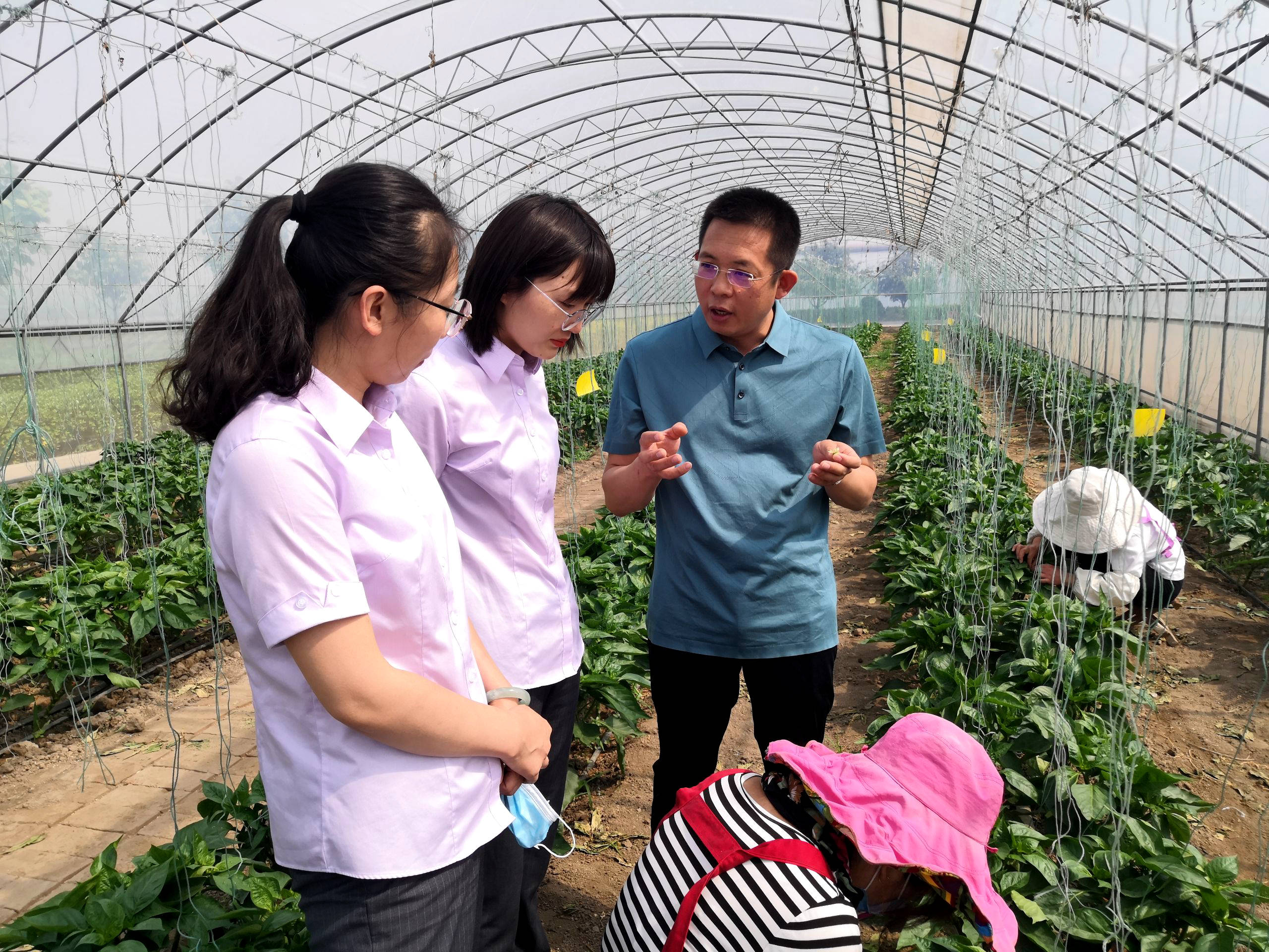 中国银行山东省分行：服务构建新发展格局 为山东省经济社会高质量发展注入金融力量