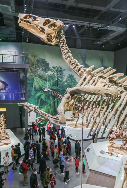 图书馆里玩剧本杀、博物馆里看恐龙 春节，您可以这样逛