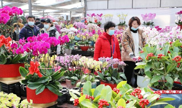 Le marché aux fleurs du Nouvel An a inauguré la saison de consommation maximale