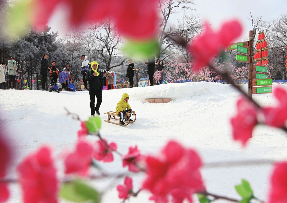 Snow Highlight Lanterns in New Spring in Year of Tiger