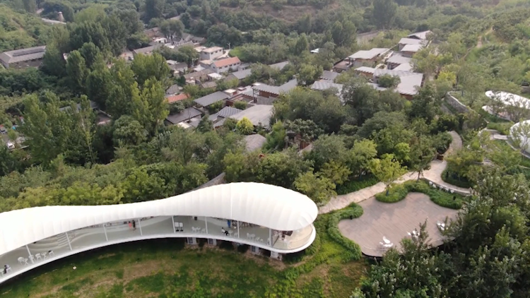 春风拂过九女峰——“党建联盟”串起山村共同富裕链