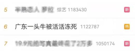 冷冷冷！广东大降温 一头牛被活活冻死 