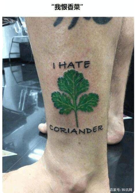 奇怪的知识又增加了!今天是世界讨厌香菜日