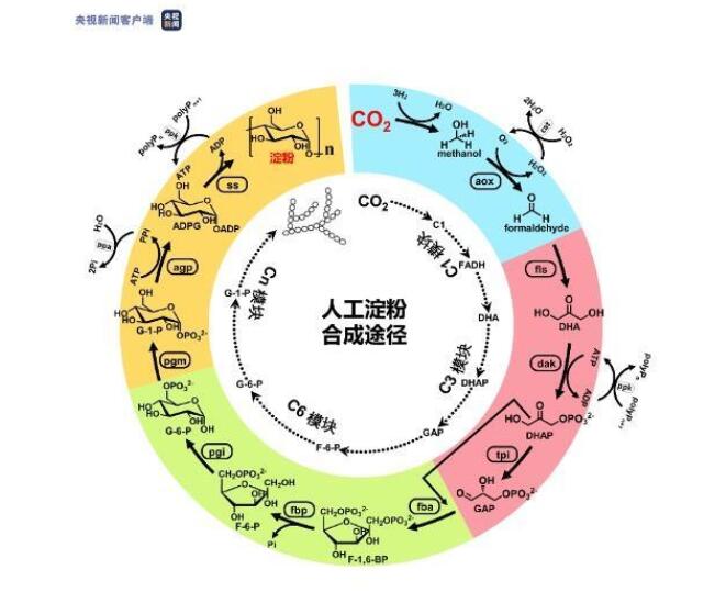 快来看！2021年度中国科学十大进展发布