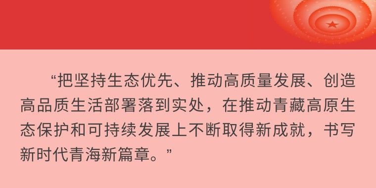 镜观·领航丨这一年，总书记的“两会关切”这样落实