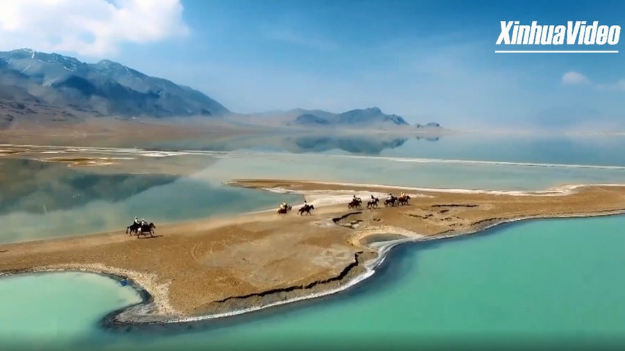 Работа по охране дикой природы в Тибете продолжает интенсивно проводиться