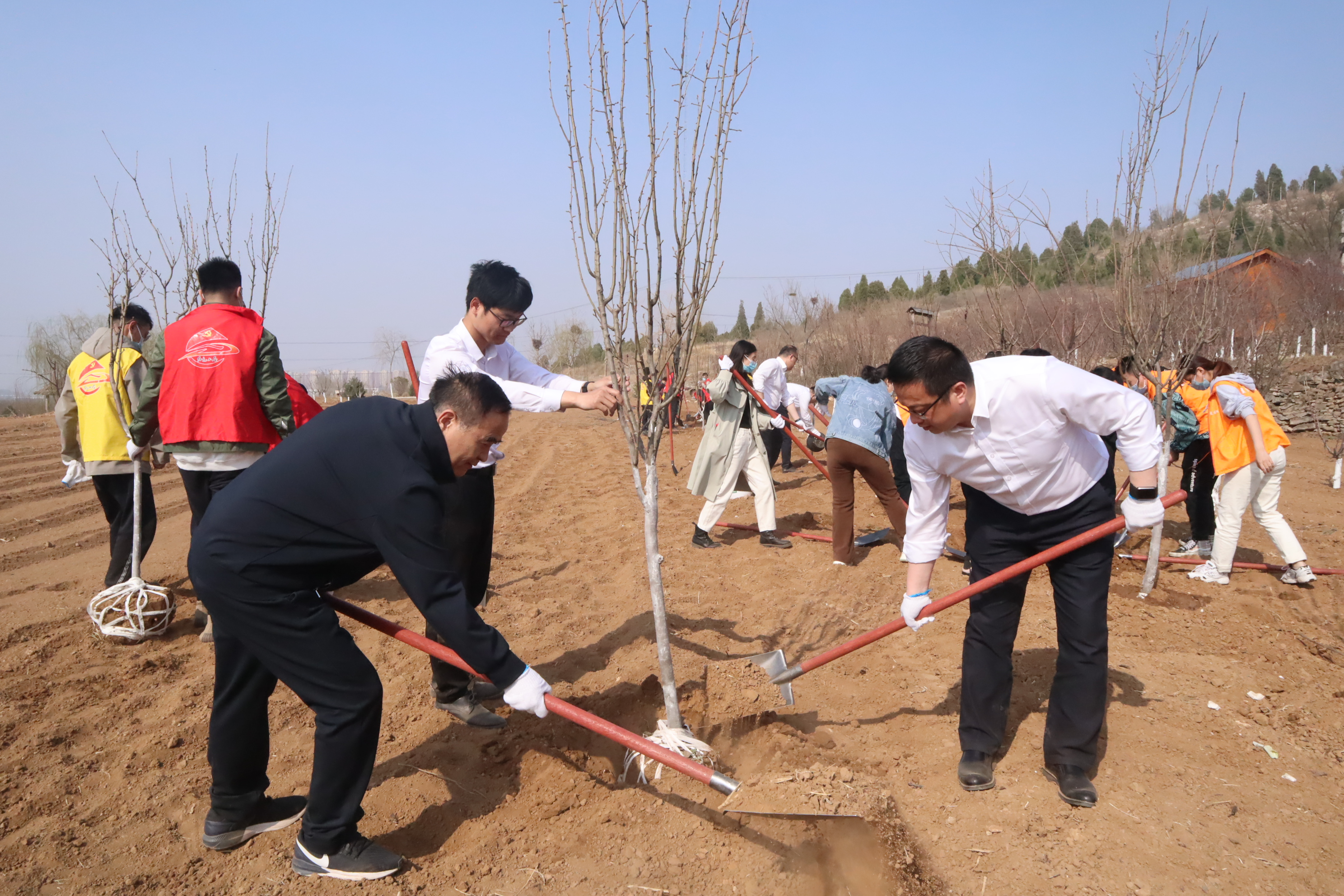 中建土木山东公司开展“‘植’此青绿 建证未来”主题植树活动