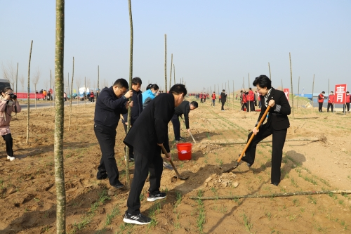 建行济宁金乡支行：积极参加第44个植树节活动