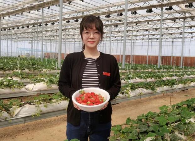 “跟随第一书记脚步 打卡泉城美丽乡村”活动丨第十三站：历城区荷花路街道朱家庄村、程家庄村