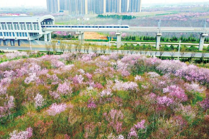 Subway to Spring Collects Flowers Along the Line