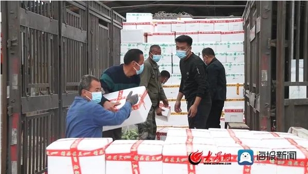 又见“硬核援助”！山东蔬菜驰援上海、吉林