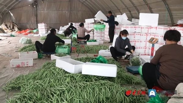 又见“硬核援助”！山东蔬菜驰援上海、吉林