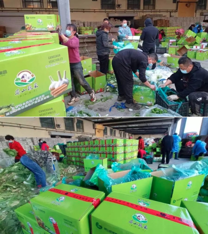 又见“硬核援助”！山东蔬菜驰援上海、吉林