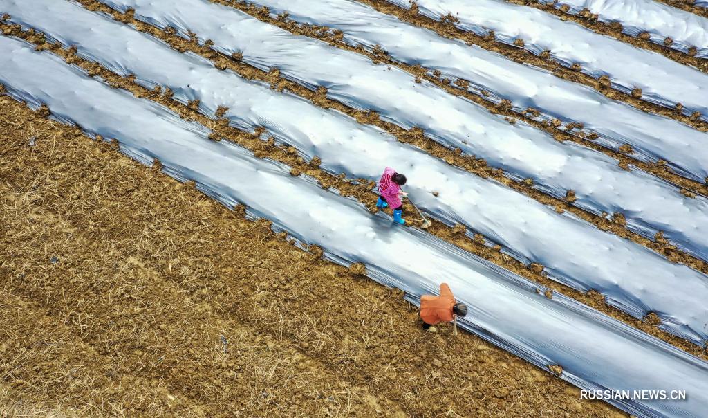 Сельскохозяйственная деятельность идет полным ходом по всему Китаю