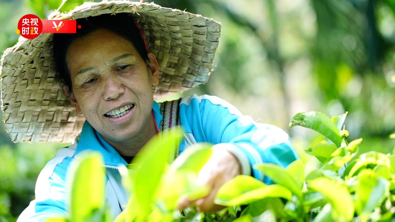 时政现场评丨跟随总书记的脚步 体会黎族小村寨里的“国之大者”