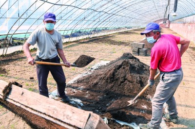 气象“良方”护航黑土粮仓