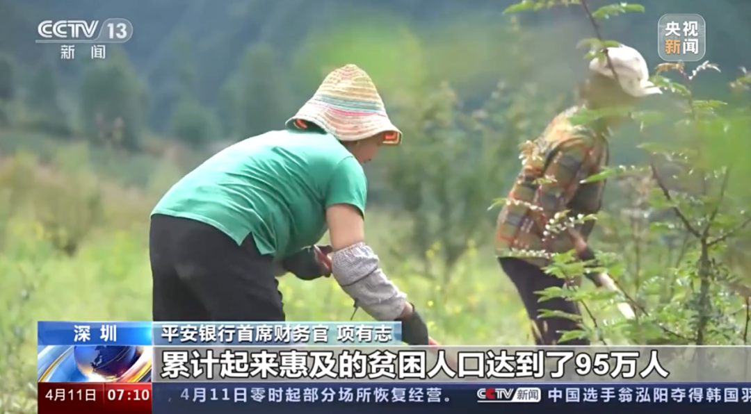 优秀！平安银行2021年年报业绩获央视好评！