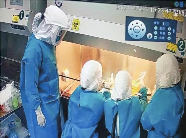 Shandongs Testen-Kapazität von Coronaviren steht landesweit an erster Stelle