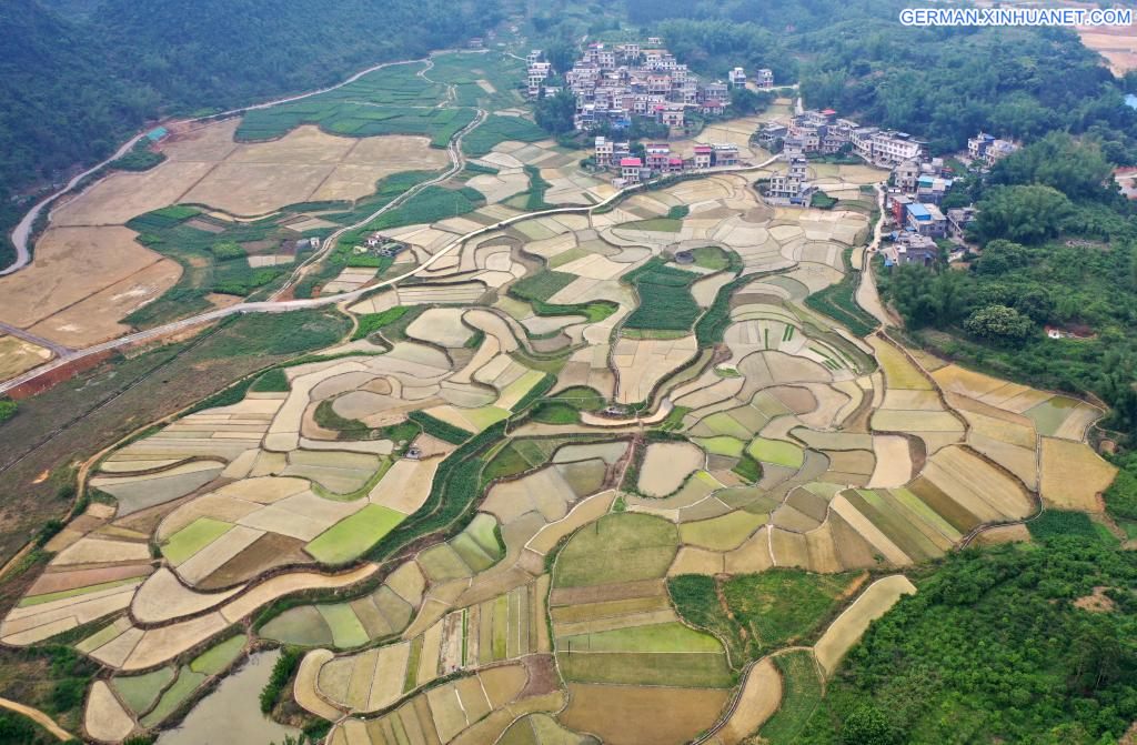 Landschaft der Reisfelder im Kreis Donglan in Südchinas Guangxi
