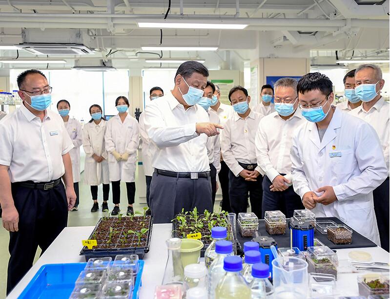 联播+｜五个重要问题 总书记这篇文章都讲透了