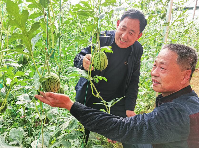 历城区省级现代农业产业园引领种业高质量发展——做大做强现代种业 助力打造“北方种业之都”