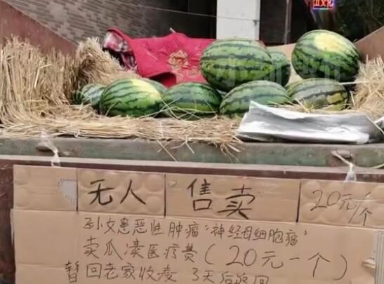 爷爷设无人西瓜摊为孙女筹医药费 5天获捐10万
