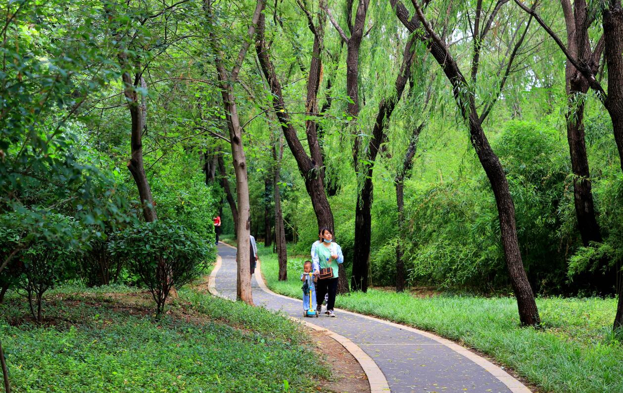 林木葱郁 夏花盛开！济南森林公园成休闲健身纳凉好去处